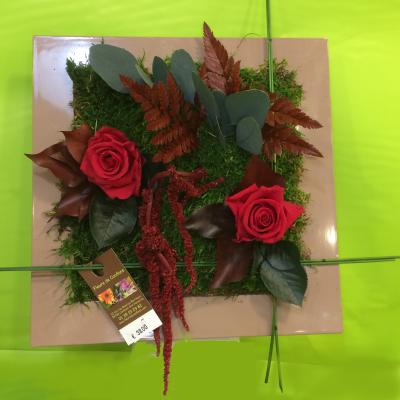 Tableau 12 : 38€