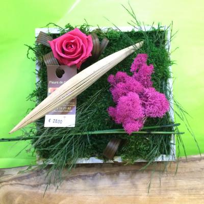 Tableau 3 : 28€